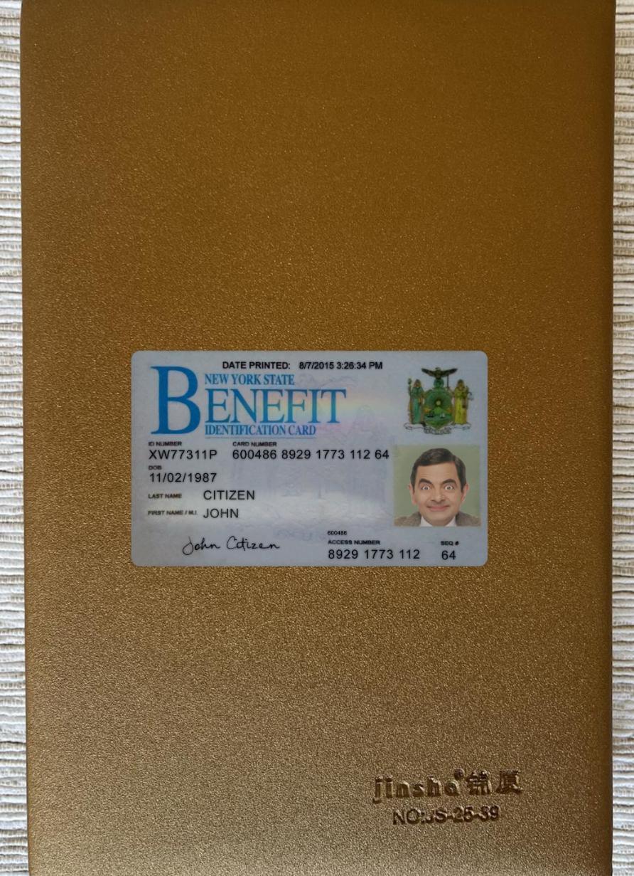 Printable USA New York Benefit ID card photolook real example